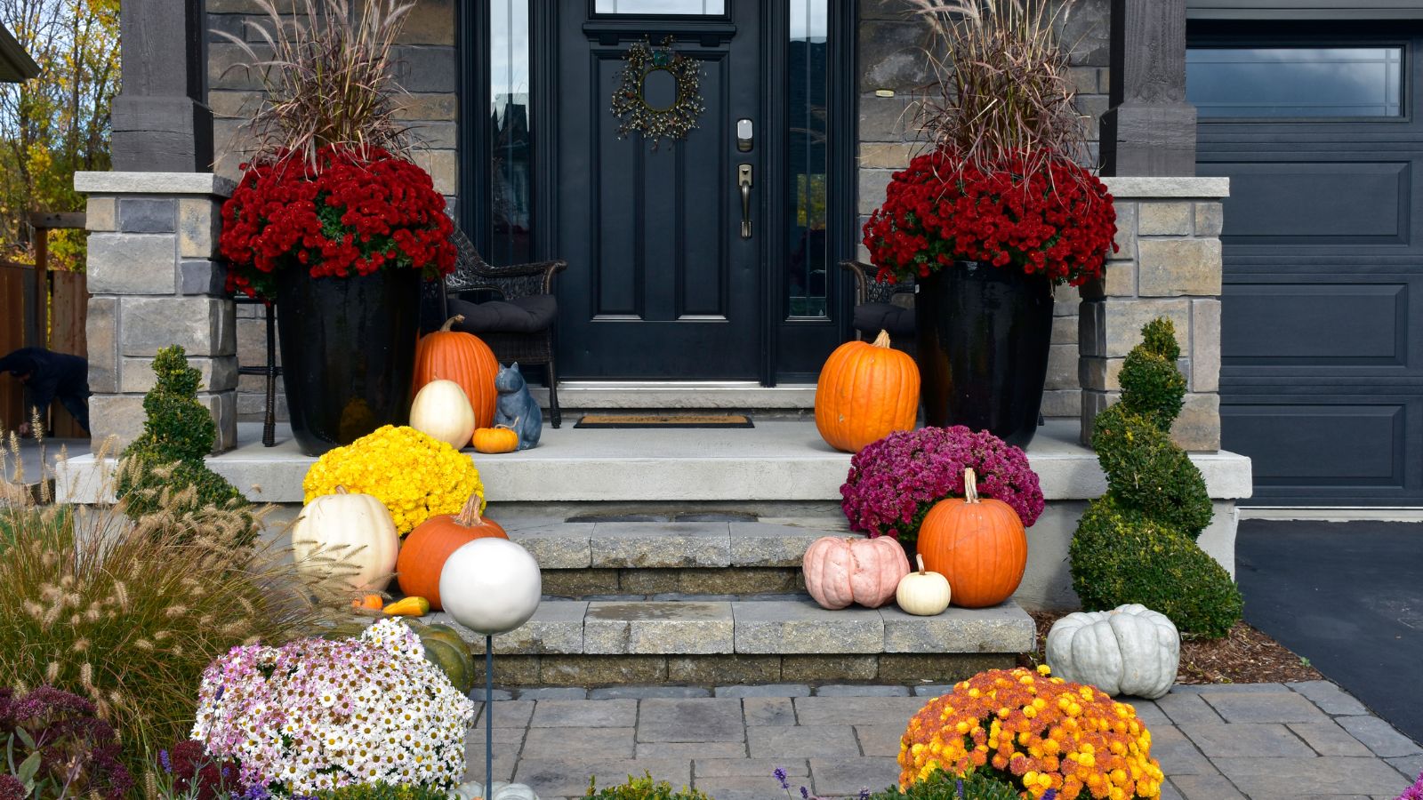 A shot of various chrysanthemum and pumpkins placed on an entryway