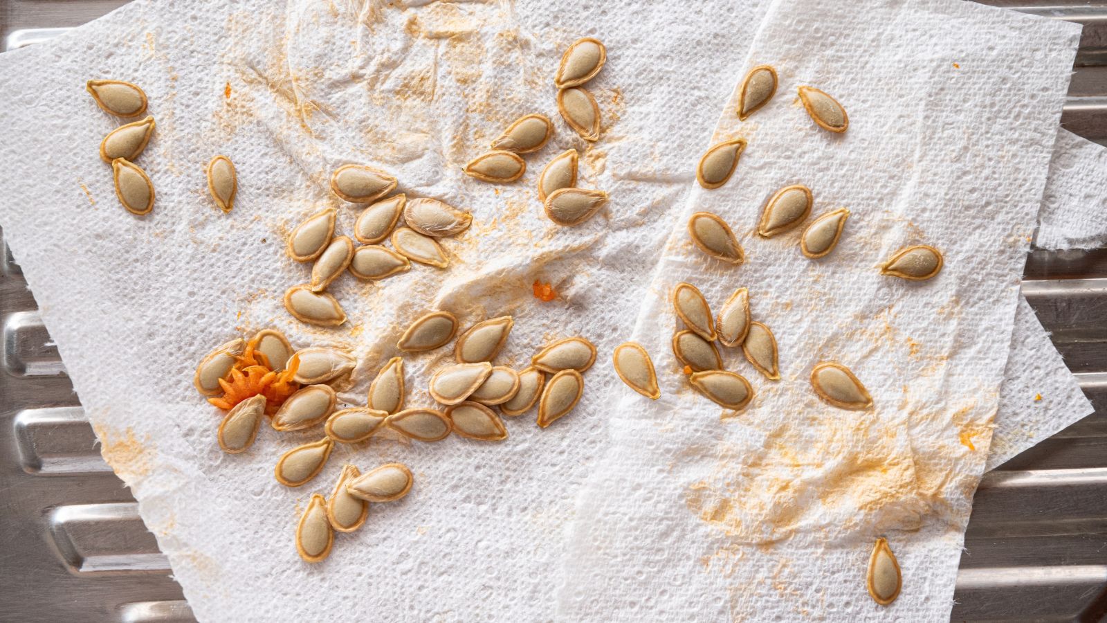 Freshly cleaned seeds appearing white left on a layer of white paper towels to help with the drying process, placed on the side of a kitchen sink