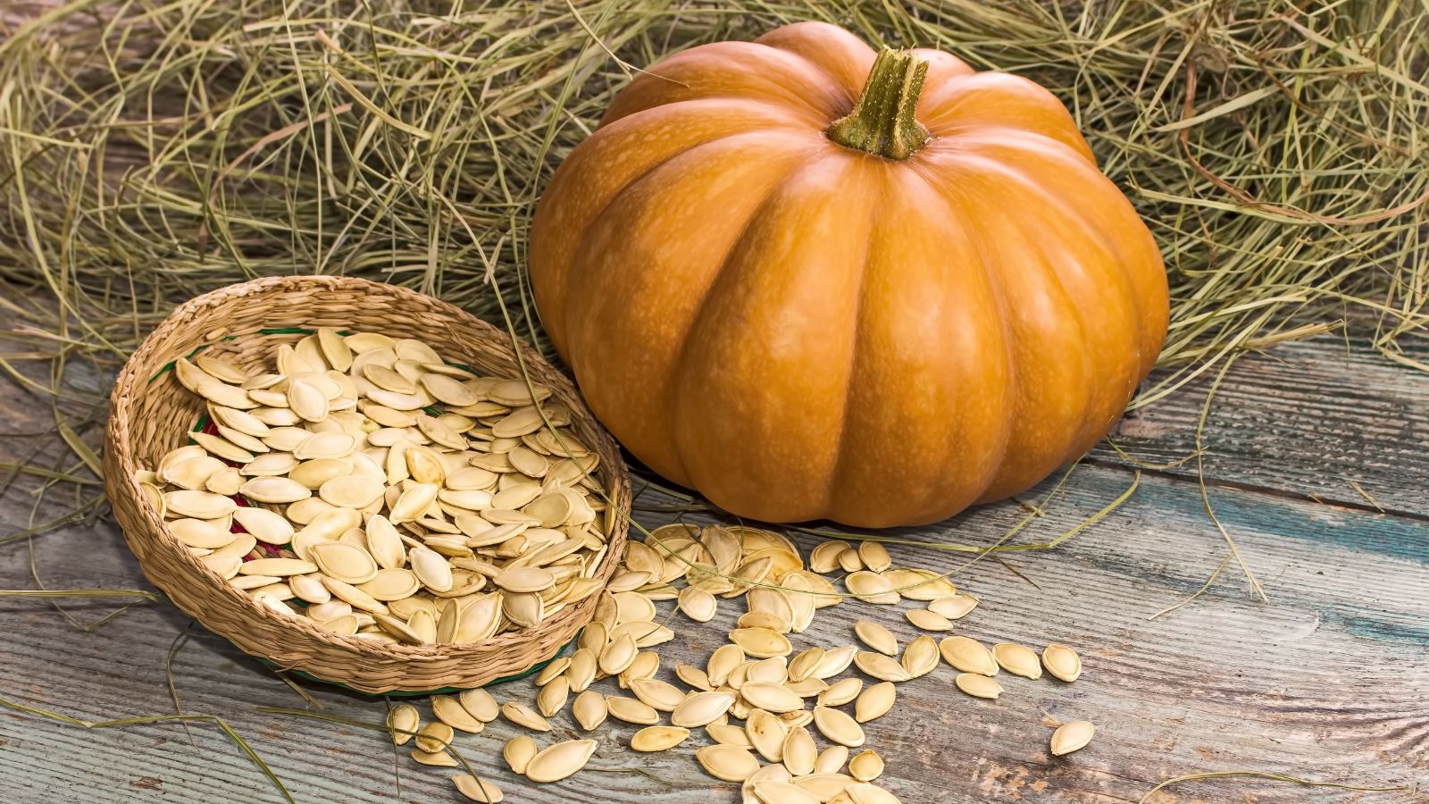 The suitable method to Save Pumpkin Seeds for Subsequent Yr: 7 Expert-Methods