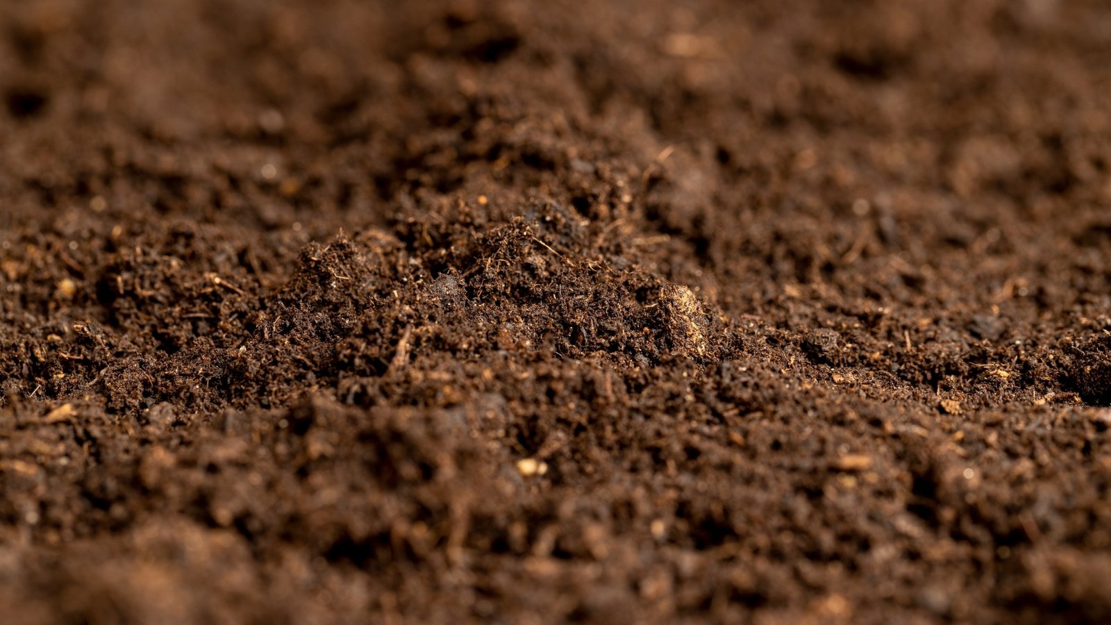 What’s Accurately-Drained Soil? Easy methods to Assess Soil Drainage