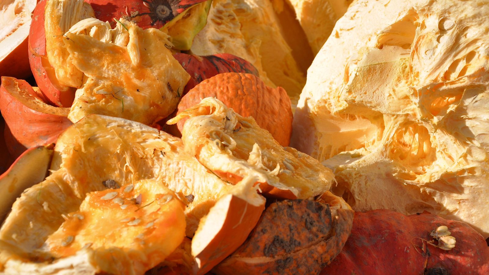 A close-up shot of multiple destroyed squash piled together in a container situated in a bright sunlit area outdoors.