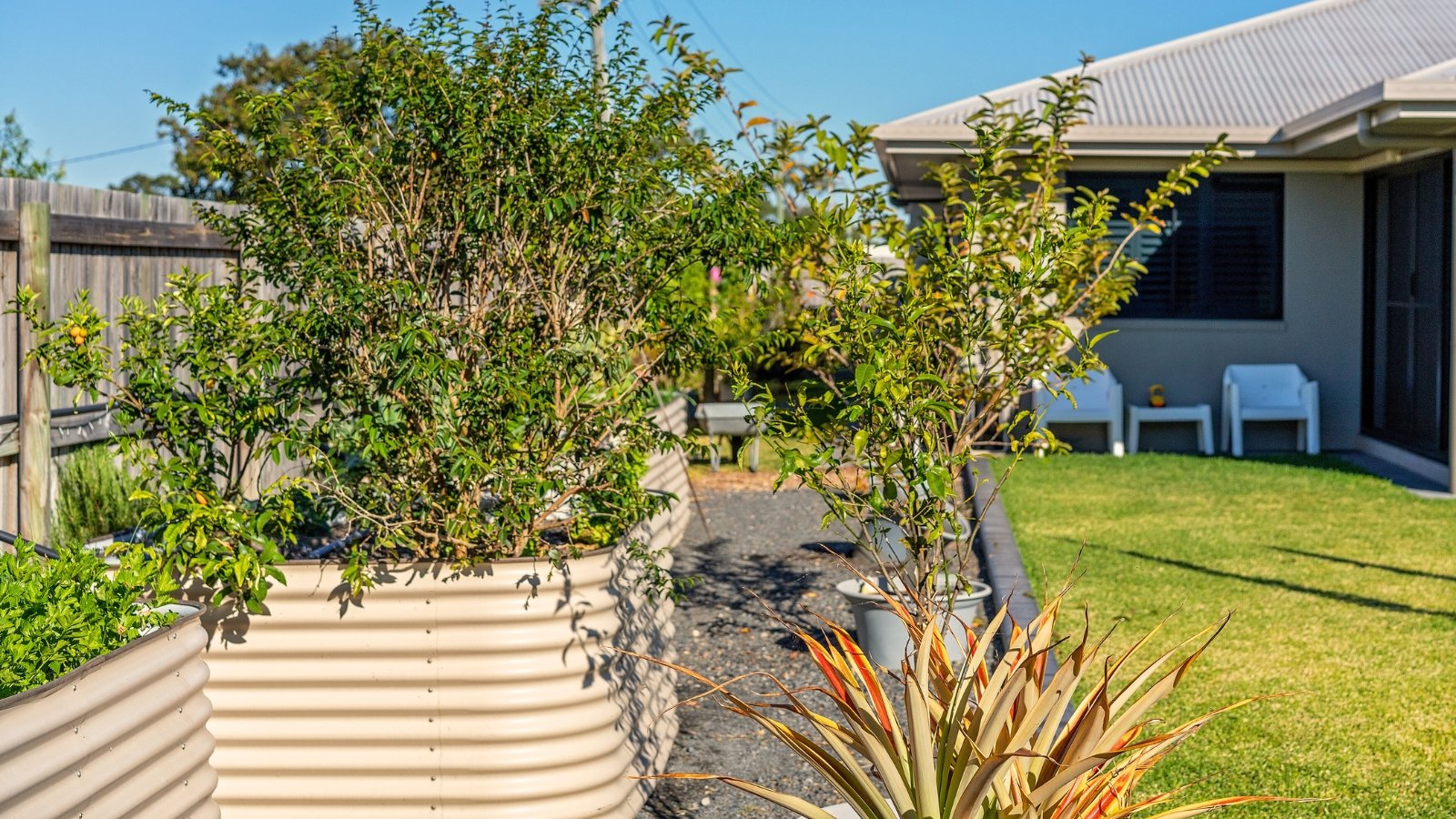 Close up of a small garden with metal raised beds containing various fruit trees and bushes.