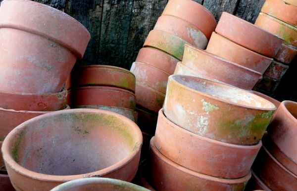 Dirty terra cotta pots