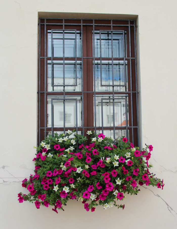 Window box