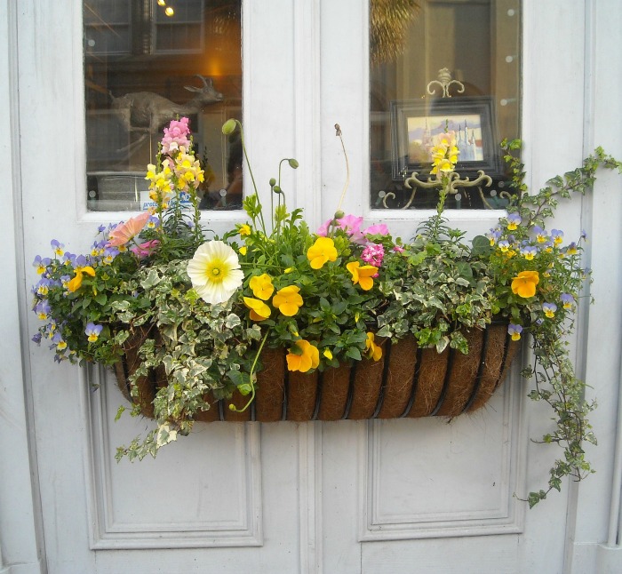 Window box used on a door