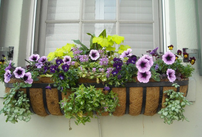 Metal window box