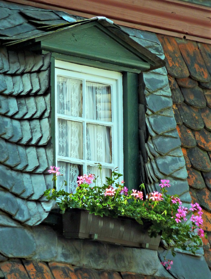 Window box on dormer