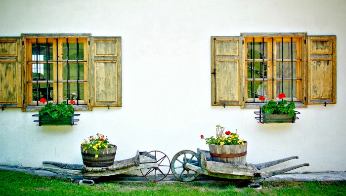 Window box vignette