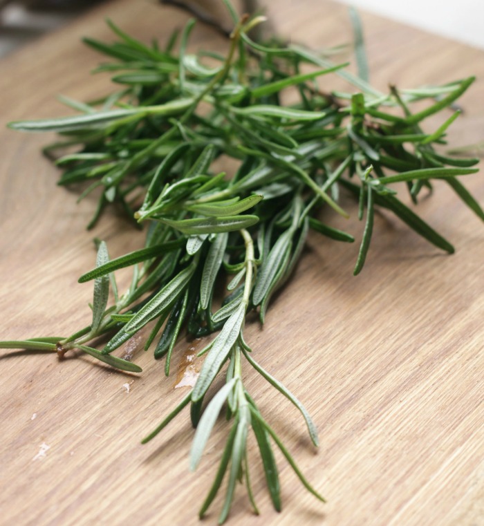 rosemary cuttings