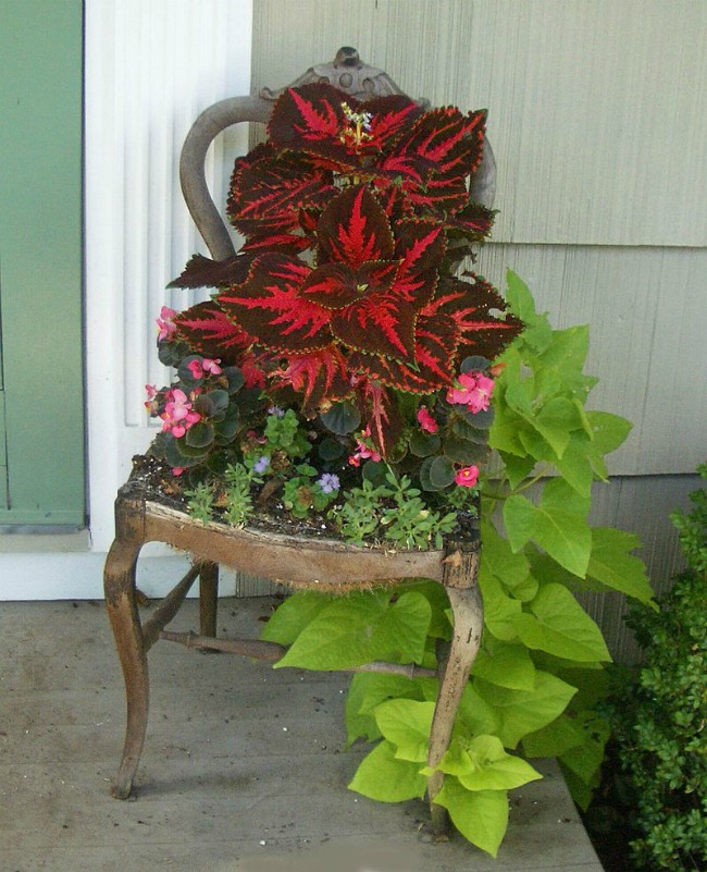 Chair planter from The T Cozy