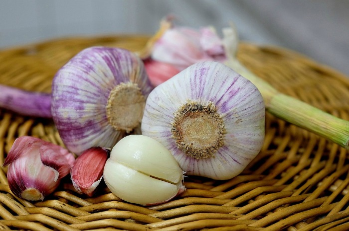 Garlic bulbs