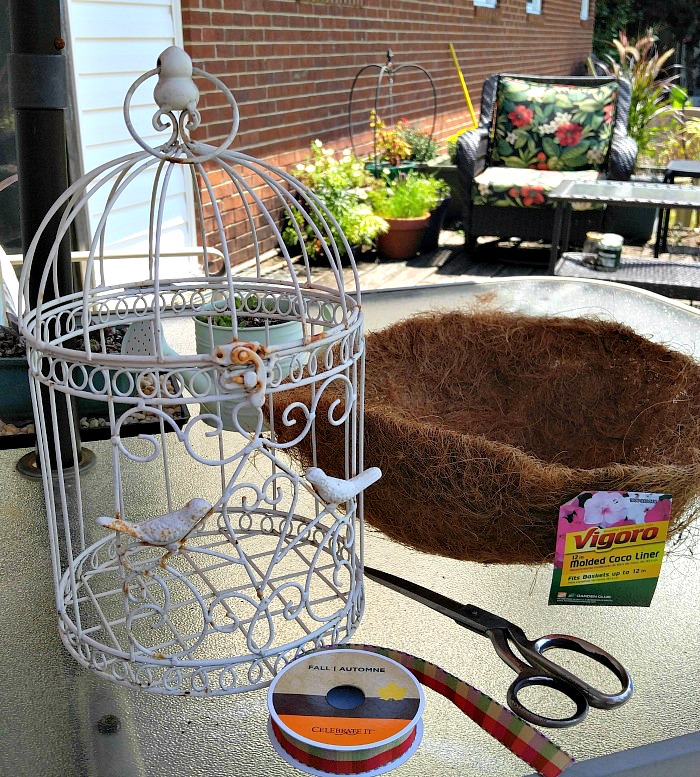 supplies for the succulent-bird-cage-planter