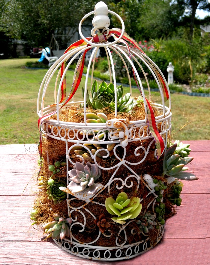 succulent-bird-cage-planter