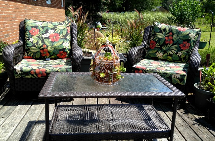 This succulent-bird-cage-planter looks great on a patio coffee table