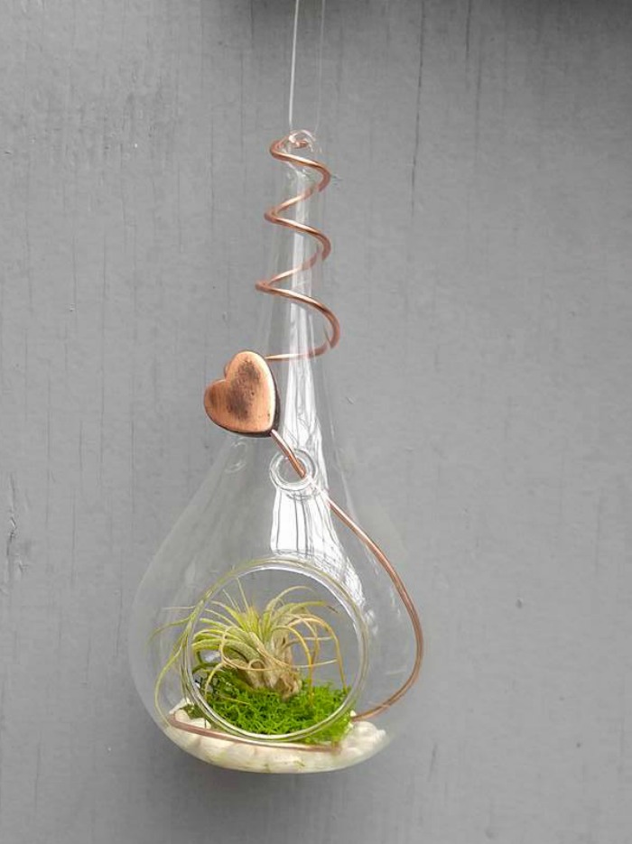 Air plant holder with copper heart