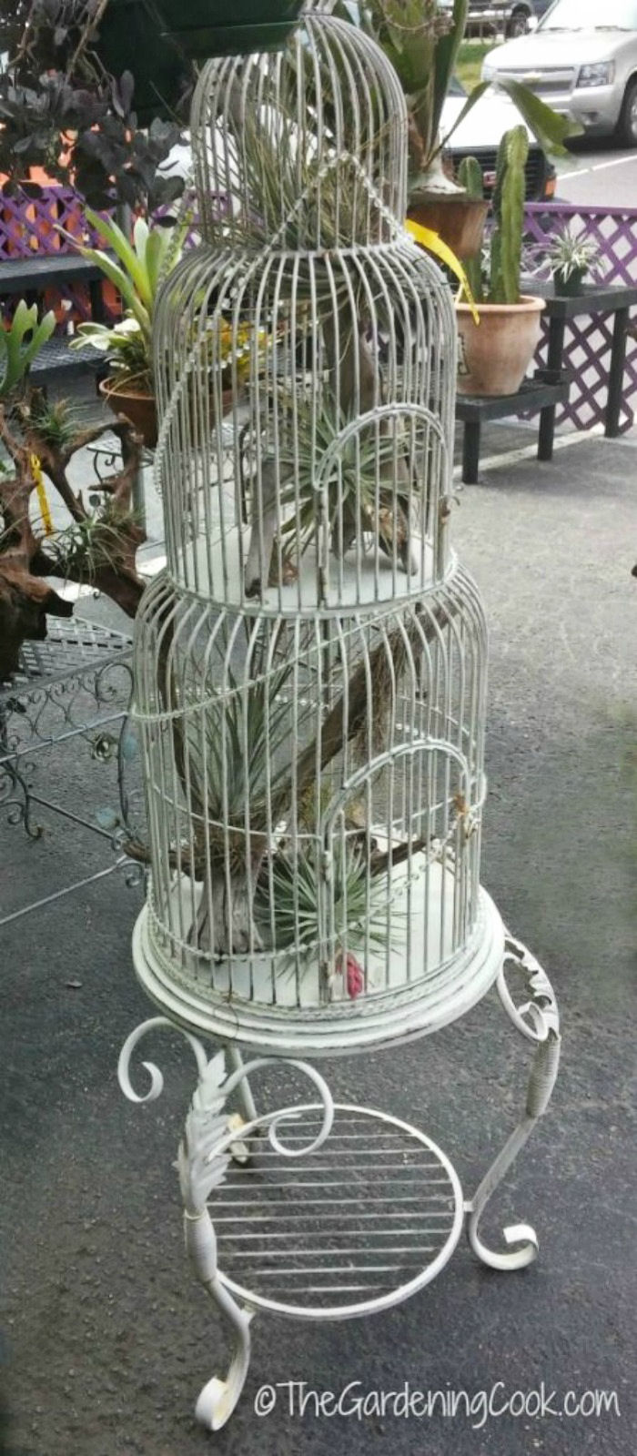 Bird cage planter