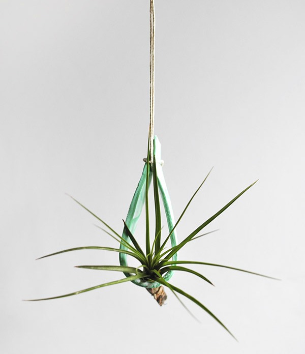 Hanging air plant holder from delineateyourdwelling.com