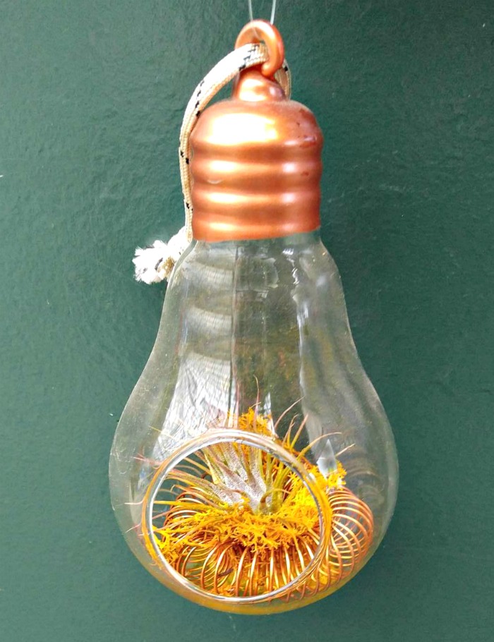 Light bulb planter.