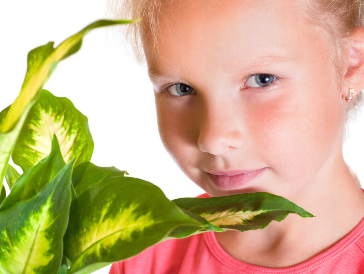 Young girl near a dieffenbachia plant.