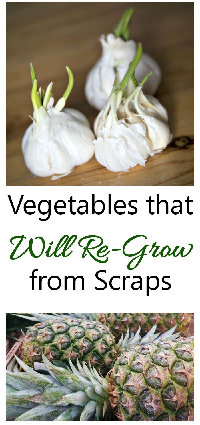 Regrow your food from kitchen scraps. Many veggies will do this.