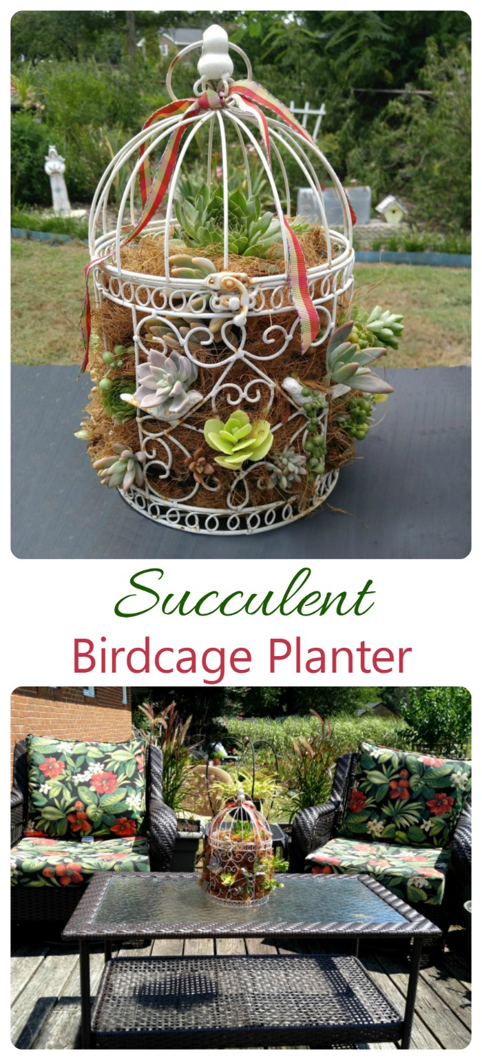 This succulent birdcage planter is super easy to put together and looks great on my patio table