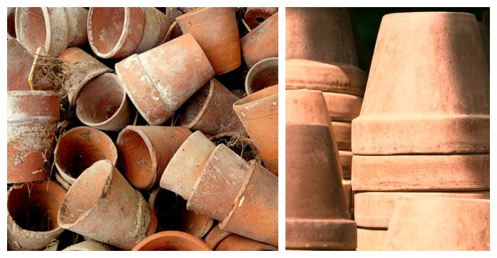 Cleaning Clay Pots –  Clear Terracotta Pots and Planters