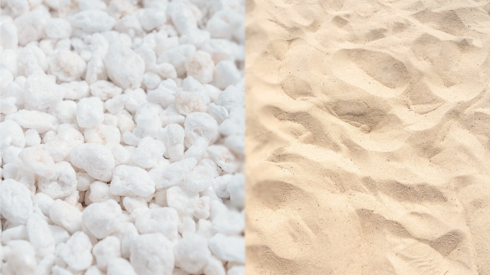 Perlite Vs. Sand: The Best Technique to Improve Soil Drainage