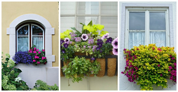 Window Area Planters – Strategies to Plant Window Packing containers